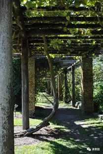 廊架底下那地儿吧，就是个“见光少、湿度高”的角落。