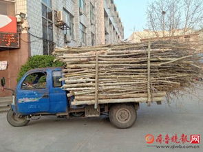 车辆，那个车辆呀