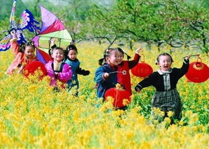 运气好， 可嫩捡漏；运气背，可嫩跑断腿