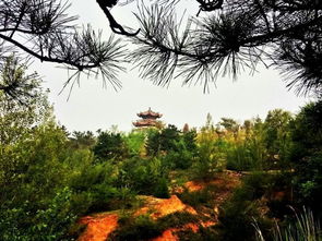 未来展望：希望还是失望？