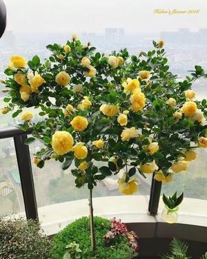 烂了怎么办, 救救我