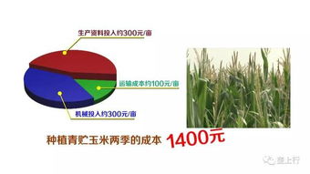 全球12.9亿吨饲料，究竟养活了哪些生物？