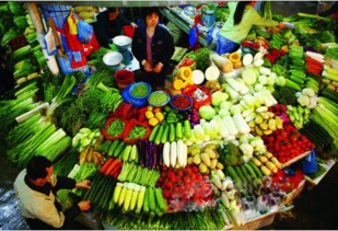 十一晴朗天蔬菜种植忙