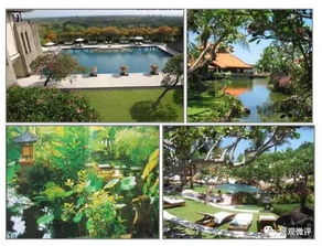 景观设计中的元素