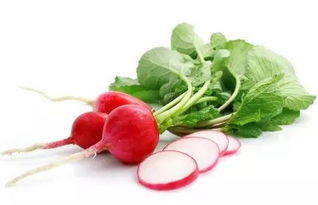 萝卜海棠喜阳，蔫了快晒晒！养花秘籍，快速恢复！