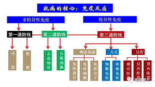 生猪分群管理五要点：科学分群、合理密度、适时并群、健康监测、环境调控