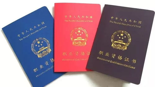 提升专业素质的方法