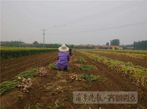 市场价格的波动