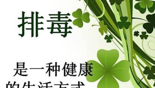 含羞草实习所面试技巧大揭秘：如何轻松应对面试难题