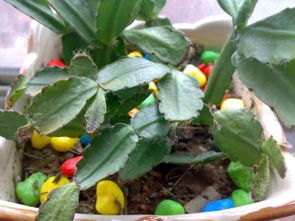 土壤问题也不容忽视