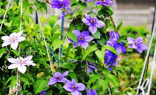 2. 保留合适的长度