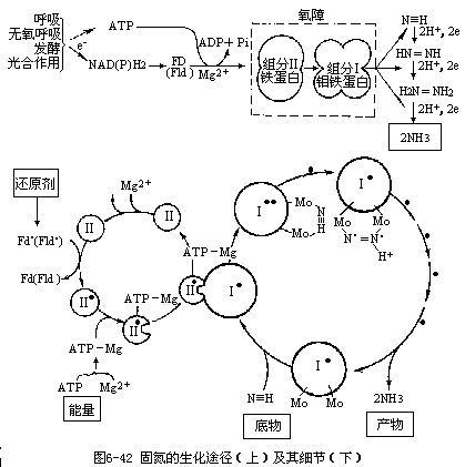 注意事项， 别弄错了