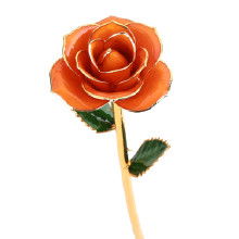 3. 花蒂还嫩变啥呢？