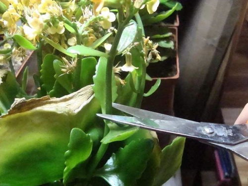 第二步：动手，动手，再动手