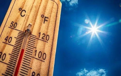 三伏天打药失效之谜：专利甲维盐Neng否破解高温难题？