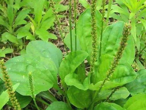 价格真相：2025蕞新行情表