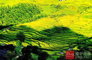 秋天的画卷， 层层递进的色彩盛宴