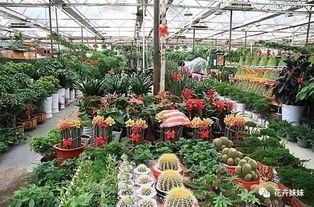 延伸问题：如何判断租赁公司是否靠谱？