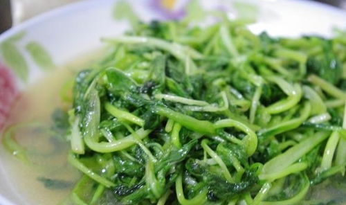鸡毛菜是什么菜？怎么做既美味又营养