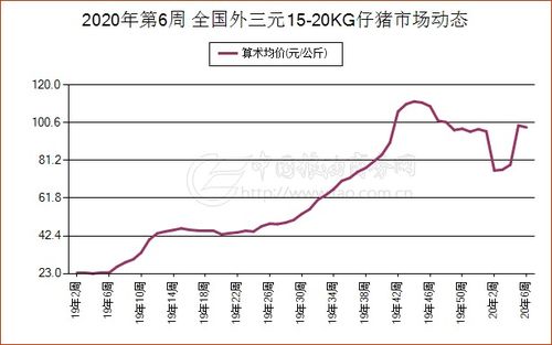 泰安市岱岳区近三个月生猪价格走势如何，与去年同期相比有何变化？