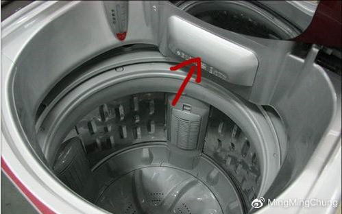 洗衣机外壳也要定期清洗