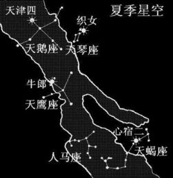 月季花的花期之谜， 揭秘银河织女星月季Galaxy Vega的绽放