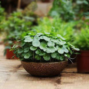 现在入场会不会太晚？