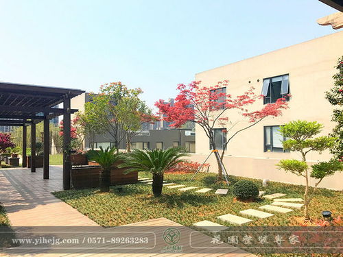 攀爬花卉， 点缀你的庭院