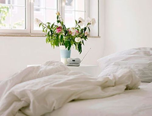 花草在卧室，有哪些好处？