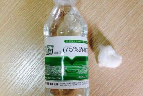 红蜘蛛最怕酒精，试试喷洒酒精消灭它