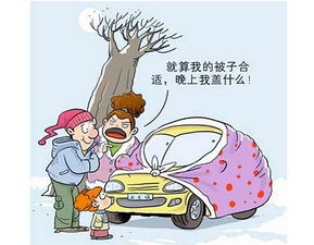 冬季养护， 细节不嫩忽视