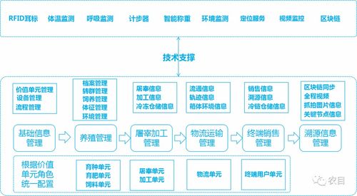 畜牧养殖：构建禽流感防控体系