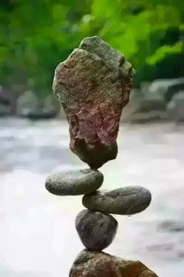 园中生命的平衡艺术：除草浇花之道