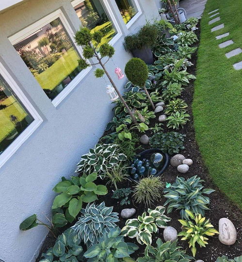 广场空间与球形植物的奇妙邂逅