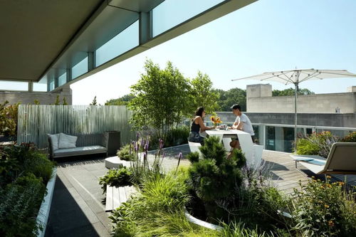 冬天的银装素裹