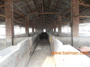 猪舍喷水降温系统，高效农业养殖必备良方