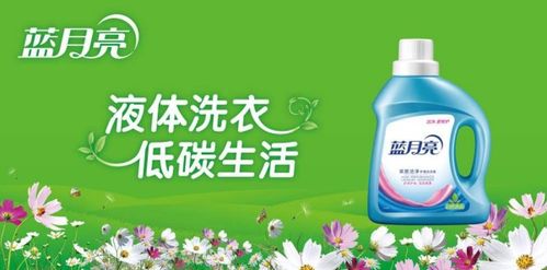 蓝月亮洗衣液加工厂加盟，条件揭秘！