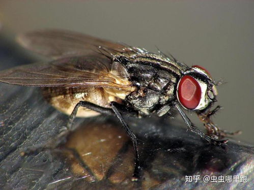 试试这个方法
