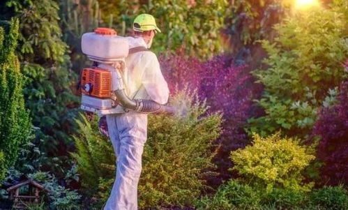 不同作物，用量不同