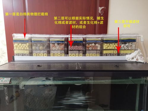 鱼缸滤材哪个牌子质量好，市面上口碑较好的滤材品牌是哪些？