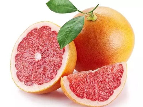 铁三角：温度、 营养、激素