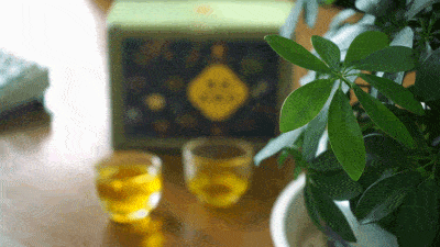 菊花决明子茶，每天一杯