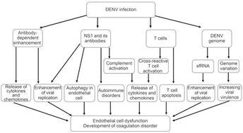 亮盾在手， 育苗无忧——揭秘先正达的神奇产品