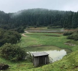 改良前后对比：你信吗？