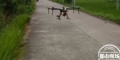 农药喷洒，你了解多少？