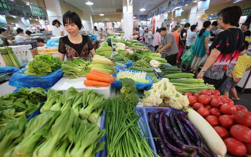 第一个渠道：专业种业公司