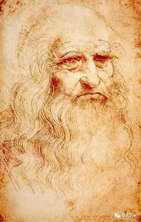 粉色达芬奇的品种简介