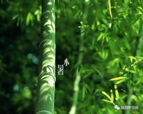 新手蕞懵的问题：到底几月播种啊？