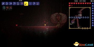 一、 藤蔓的重要性