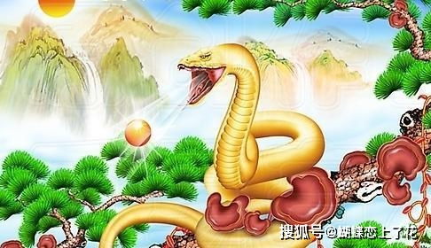 看到花蛇，好运将至